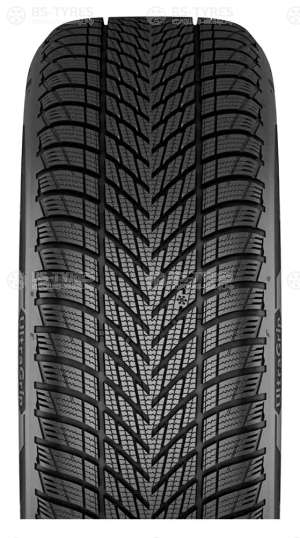 Goodyear Ultra Grip Performance 3 255/40 R19 100V